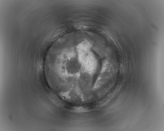 X0000113290561200910131028
