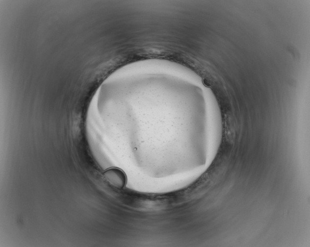 X0000113290563200910131028