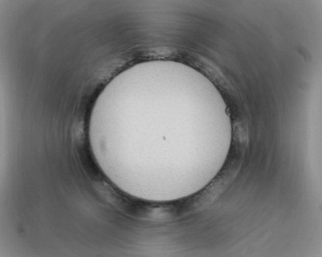 X0000113290564200910131028