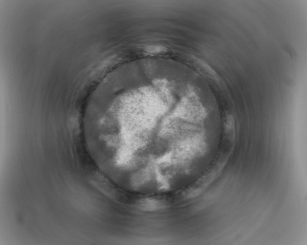 X0000113290565200910131028
