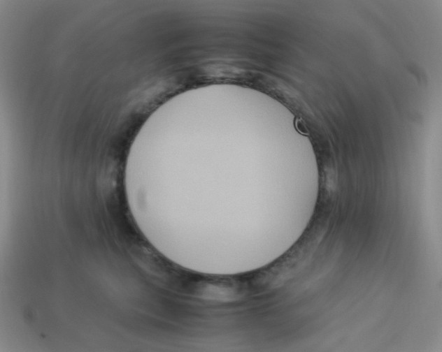 X0000113290567200910131028