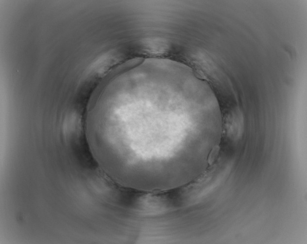 X0000113290568200910131028