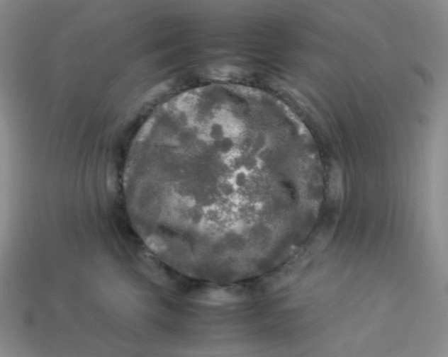 X0000113290569200910131028