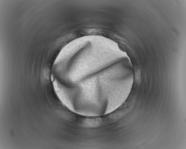 X0000113290571200910131028
