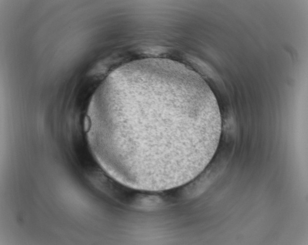 X0000113290572200910131028