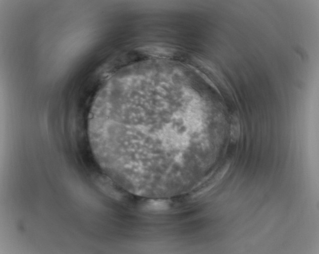 X0000113290573200910131029