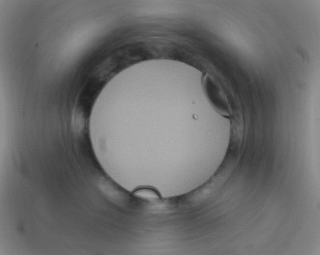 X0000113290574200910131029
