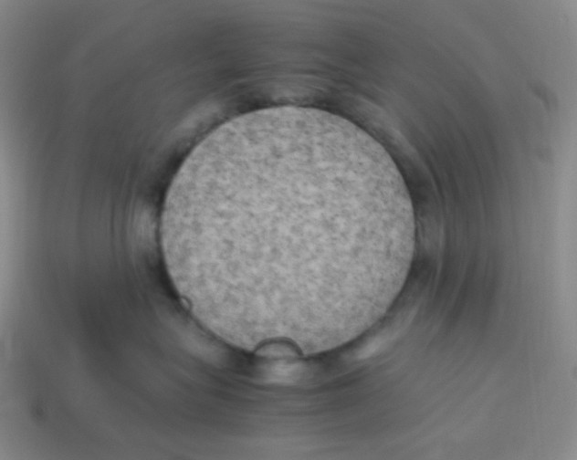 X0000113290575200910131029