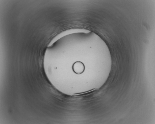 X0000113290576200910131029