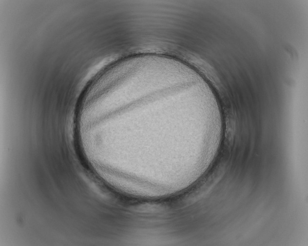 X0000113290578200910131028