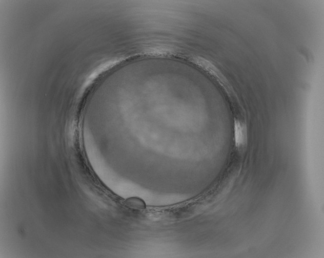 X0000113290579200910131028