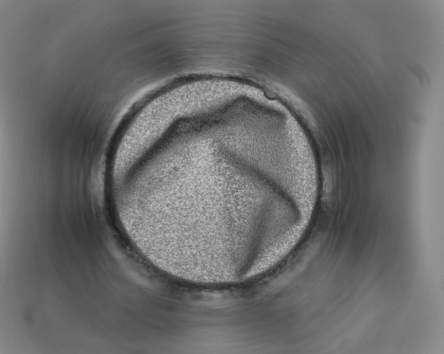 X0000113290580200910131028