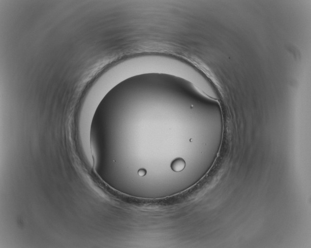 X0000113290581200910131028
