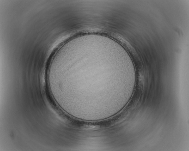 X0000113290582200910131028