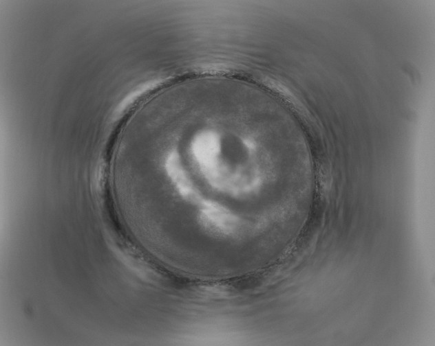 X0000113290583200910131028