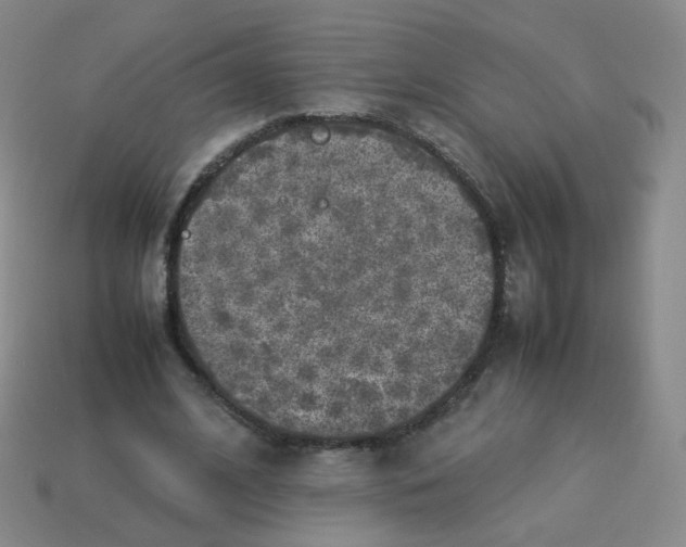 X0000113290584200910131028