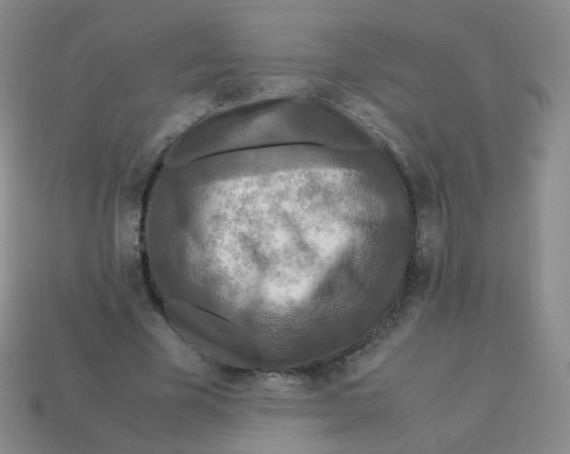 X0000113290585200910131028