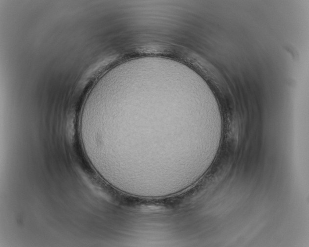 X0000113290586200910131028