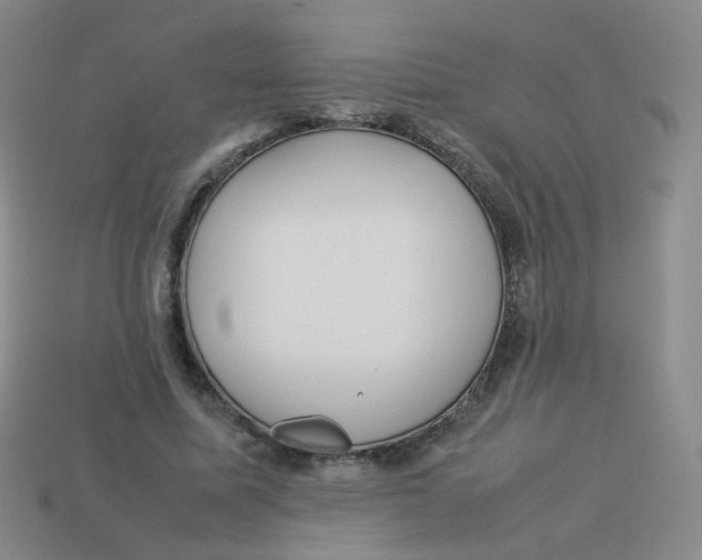X0000113290587200910131028