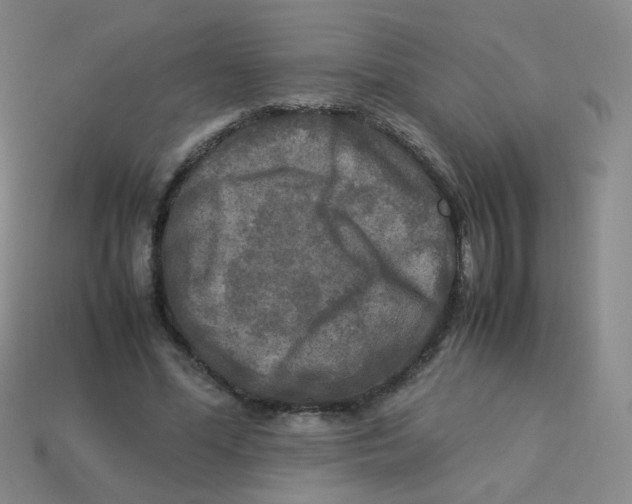 X0000113290588200910131028
