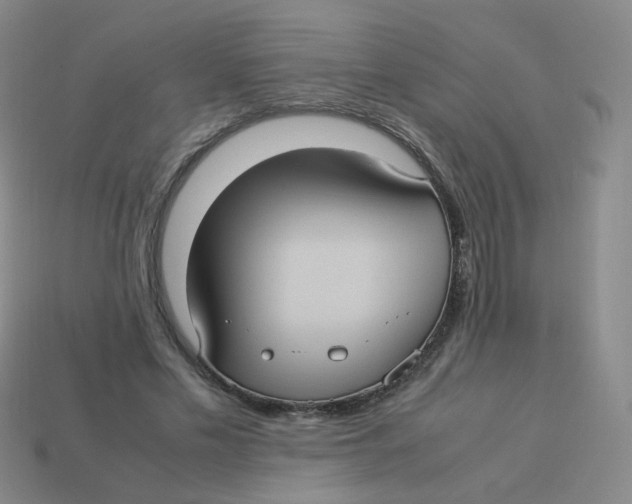 X0000113290589200910131028