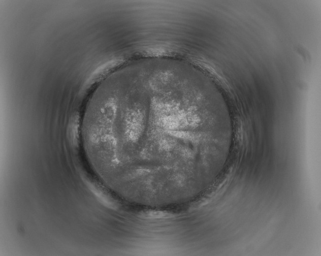 X0000113290590200910131028