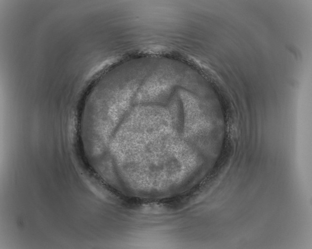 X0000113290591200910131028