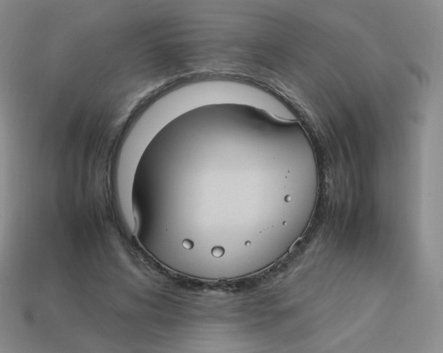 X0000113290592200910131028
