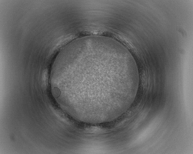 X0000113290594200910131028