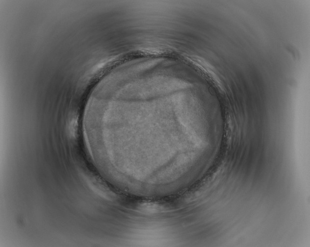 X0000113290596200910131028