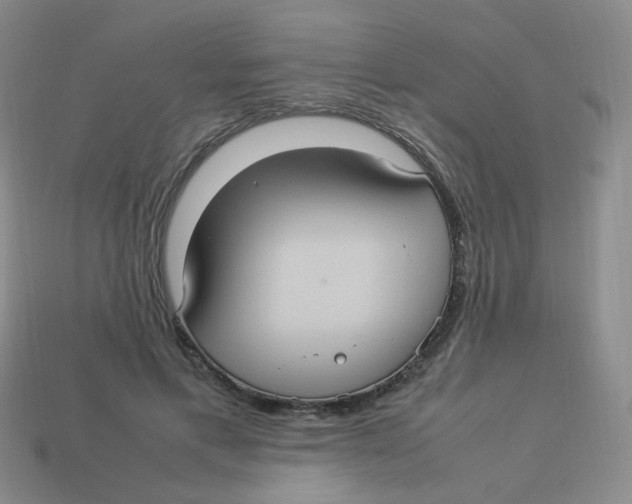 X0000113290597200910131027