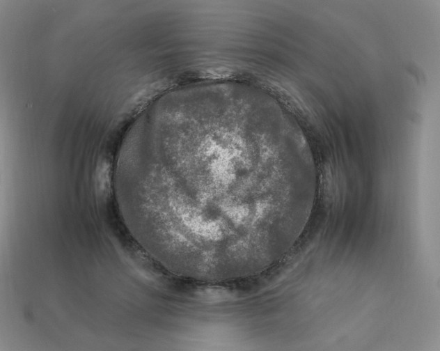 X0000113290598200910131027
