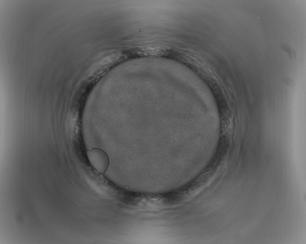 X0000113290599200910131027