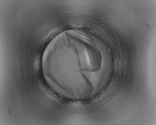 X0000113290600200910131027
