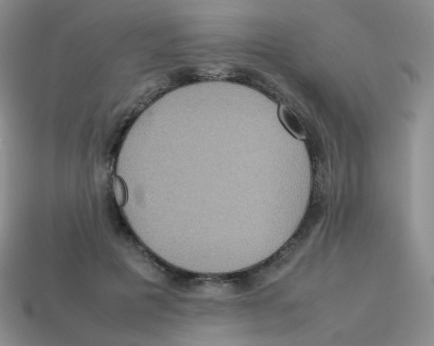 X0000113290601200910131027