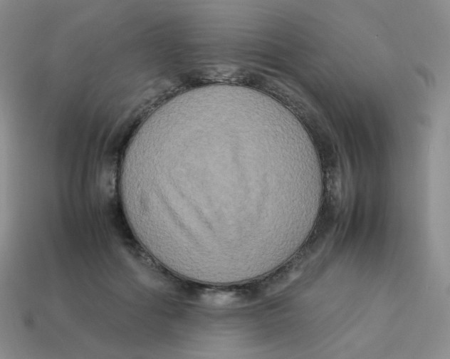 X0000113290602200910131027