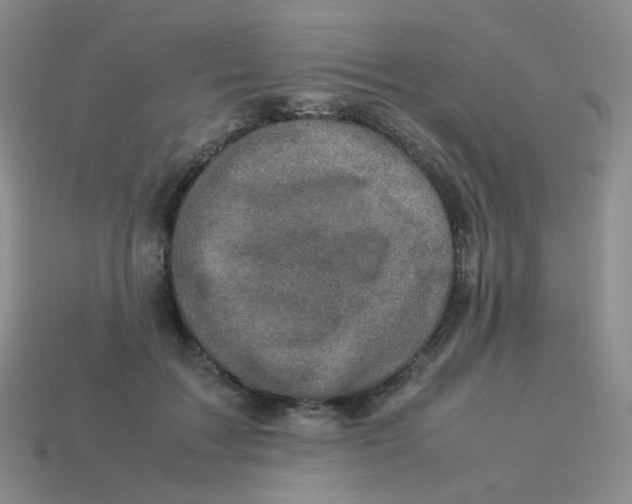 X0000113290603200910131027