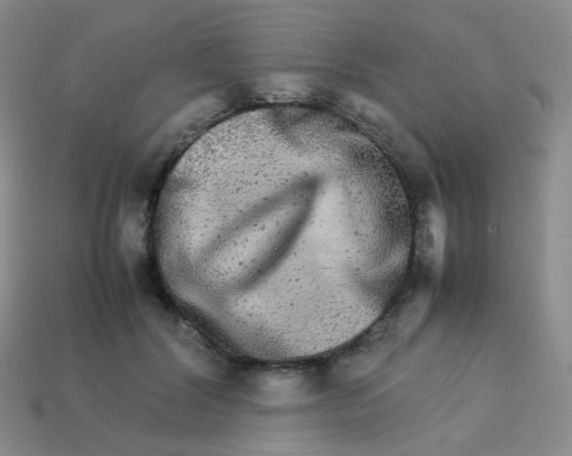 X0000113290604200910131027