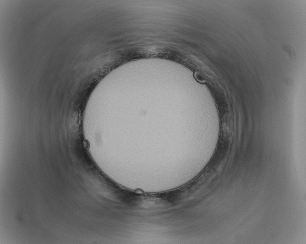 X0000113290605200910131027