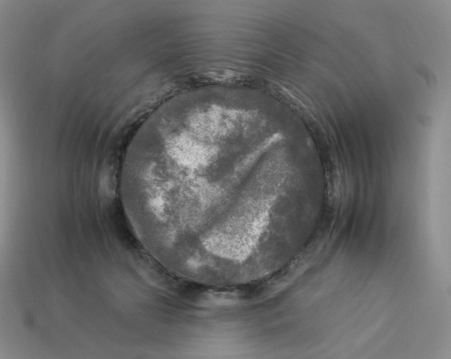 X0000113290606200910131027