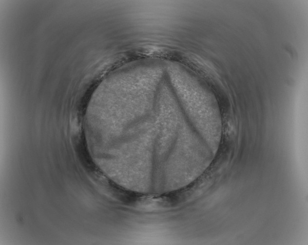X0000113290607200910131027