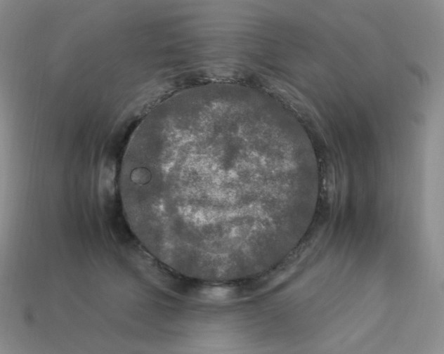 X0000113290610200910131027
