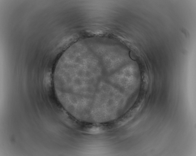 X0000113290612200910131027