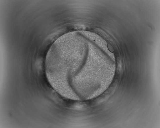 X0000113290616200910131027