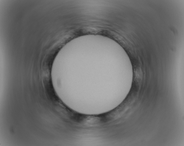 X0000113290617200910131027
