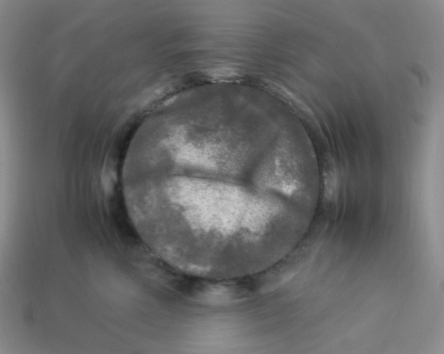 X0000113290618200910131027