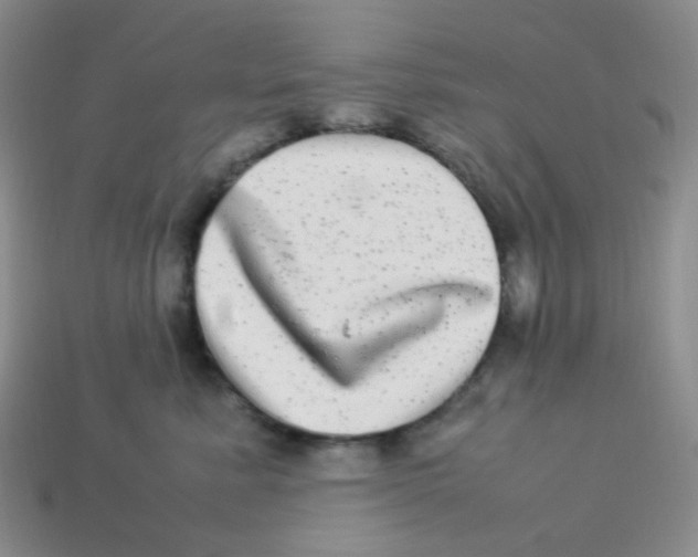 X0000113290619200910131027
