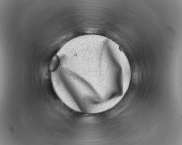 X0000113290620200910131027