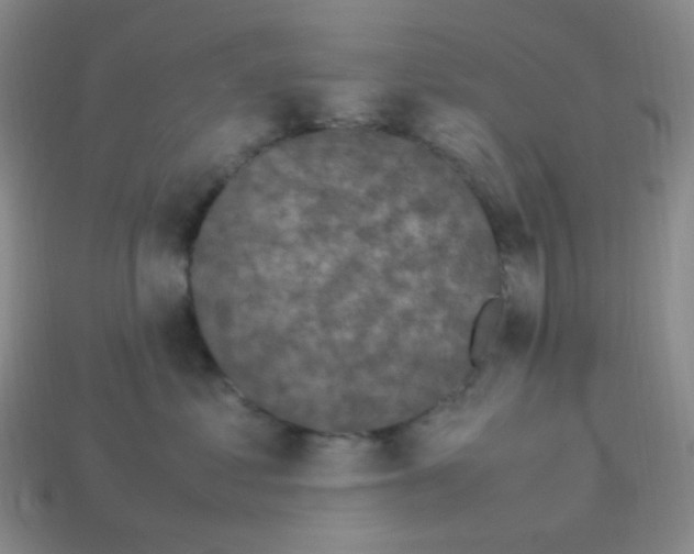 X0000113290621200910131027