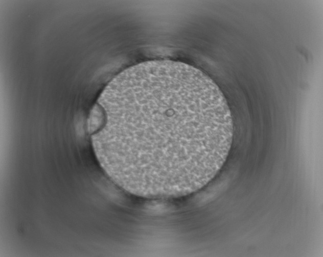 X0000113290624200910131027